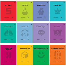 Комплект (12 шт.) предметных тетрадей 48л. BG "Перфокарта", пластиковая обложка