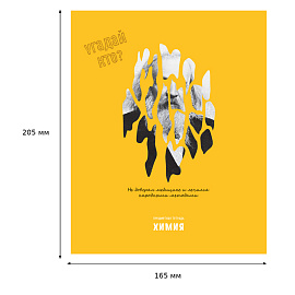 Тетрадь предметная 48л. BG "Угадай кто" - Химия, матовая ламинация, выб. лак