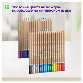 Карандаши цветные Berlingo "SuperSoft. Pro" 36цв., круглые, заточен., картон, европодвес