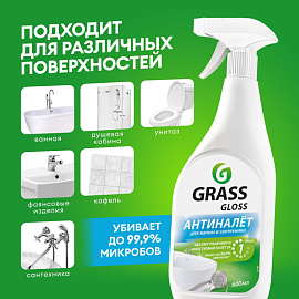 Профхим сантех сл/кисл д/делик мыт акрил-мет Grass/Gloss PROF, 0,6л_т/р_Нбр фото Профхим сантех сл/кисл д/делик мыт акрил-мет Grass/Gloss PROF, 0,6л_т/р_Нбр
