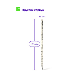 Карандаш ч/г Berlingo "Green series. Newspaper pencil", HB, заточен.