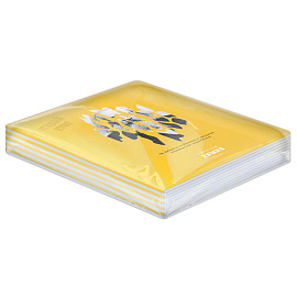 Тетрадь предметная 48л. BG "Угадай кто" - Химия, матовая ламинация, выб. лак