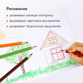 Карандаши цветные ЮНЛАНДИЯ "ТРОПИКИ", 12 цветов, с РАСКРАСКОЙ, трехгранные, грифель 3 мм, натуральное дерево, 181647