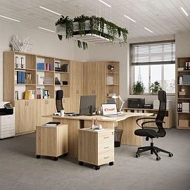 Корпус гардероба Комус Мебель Easy to lead Easy One (дуб сонома, 768x370x1997 мм)