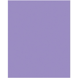 Тетрадь предметная 48л. BG "Перфокарта" - Литература, пластиковая обложка