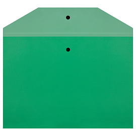 Папка-конверт на кнопке СТАММ А4, 120мкм, пластик, прозрачная, зеленая