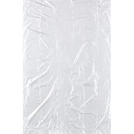 Пакет фасовочный ПНД 8 мкм 24х37 см (100 штук в рулоне)