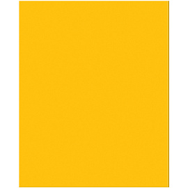 Тетрадь предметная 48л. BG "Перфокарта" - Геометрия, пластиковая обложка