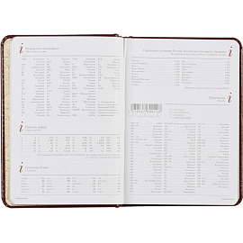 Ежедневник недатированный Attache Sidney Nebraska искусственная кожа A6+ 136 листов бордовый (золотистый обрез)