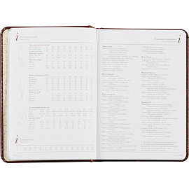 Ежедневник недатированный Attache Sidney Nebraska искусственная кожа A6+ 136 листов бордовый (золотистый обрез)