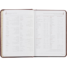 Ежедневник недатированный Attache Sidney Nebraska искусственная кожа A6+ 136 листов бордовый (золотистый обрез)