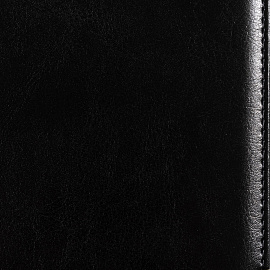 Ежедневник полудатированный Bruno Visconti Boss искусственная кожа A5+ 208 листов черный (золотистый обрез)