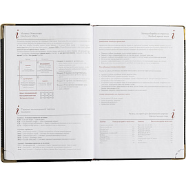 Ежедневник полудатированный Bruno Visconti Boss искусственная кожа A5+ 208 листов черный (золотистый обрез)