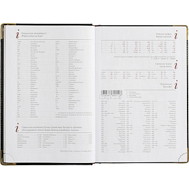 Ежедневник полудатированный Bruno Visconti Boss искусственная кожа A5+ 208 листов черный (золотистый обрез)