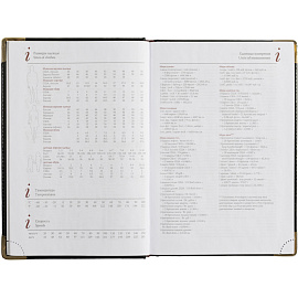 Ежедневник полудатированный Bruno Visconti Boss искусственная кожа A5+ 208 листов черный (золотистый обрез)