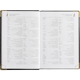 Ежедневник полудатированный Bruno Visconti Boss искусственная кожа A5+ 208 листов черный (золотистый обрез)