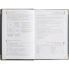 Ежедневник полудатированный Bruno Visconti Boss искусственная кожа A5+ 208 листов синий (серебристый обрез)