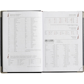 Ежедневник полудатированный Bruno Visconti Boss искусственная кожа A5+ 208 листов синий (серебристый обрез)