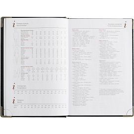 Ежедневник полудатированный Bruno Visconti Boss искусственная кожа A5+ 208 листов синий (серебристый обрез)