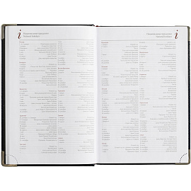 Ежедневник полудатированный Bruno Visconti Boss искусственная кожа A5+ 208 листов синий (серебристый обрез)