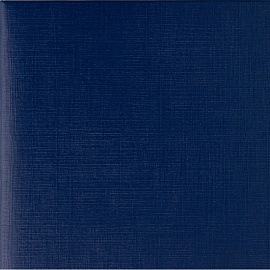 Папка адресная Государственная символика А4 синяя