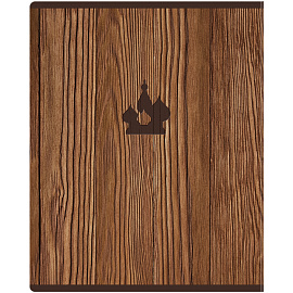 Тетрадь предметная 48л. BG "Дерево знаний" - Русский язык soft-touch ламинация