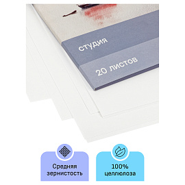 Папка для акварели, 20л., А3, Гамма "Студия", 200г/м2, среднее зерно
