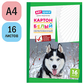 Картон белый А4, ArtSpace, 16л., немелованный, в папке