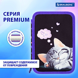 Пенал BRAUBERG, 3 отделения, полиэстер, 21х14 см, "Sleeping kitten", 273538