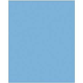 Тетрадь предметная 48л. BG "Перфокарта" - Физика, пластиковая обложка