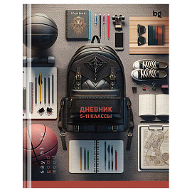 Дневник 5-11 кл. 48л. (твердый) BG "Школьный порядок", матовая ламинация