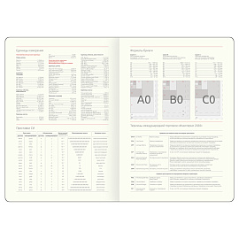Ежедневник недатированный, А5, 136л., твердый переплет, кожзам, Greenwich Line "Fascia. Graphite", магнитная застежка, цветной срез