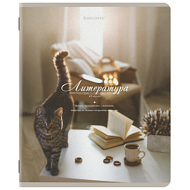 Тетради предметные, КОМПЛЕКТ 12 ПРЕДМЕТОВ, 48 л., SoftTouch, BRAUBERG, "ESTHETICS", 404833