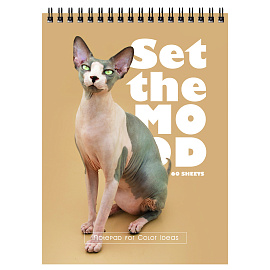 Блокнот А5 60л. на гребне BG "Создай настроение