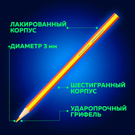 Карандаши с двухцветным грифелем BRAUBERG BICOLOUR, 12 штук, 24 цвета, шестигранные, грифель 3 мм, натуральное дерево, 181855