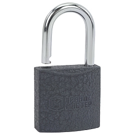 Замок навесной чугунный 25 мм "Стандарт", 2 ключа, ГРАНДМАСТЕР, 671289