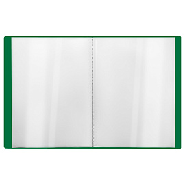 Папка с 20 вкладышами СТАММ "Стандарт" А4, 14мм, 600мкм, пластик, зеленая фото Папка с 20 вкладышами СТАММ "Стандарт" А4, 14мм, 600мкм, пластик, зеленая