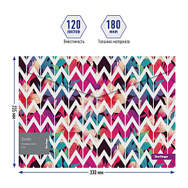 Папка-конверт на кнопке Berlingo "Exotic" А4, 180мкм, с рисунком