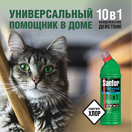 Универсальное чистящее средство Санфор Универсал Морской бриз 750 г