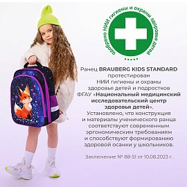 Ранец BRAUBERG KIDS STANDARD, 2 отделения, Fairy fox, 36х28х14 см, 273144