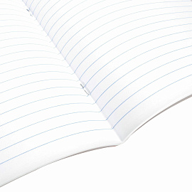 Тетрадь предметная "DELIGHT" 48 л., обложка картон, ЛИТЕРАТУРА, линия, BRAUBERG, 404576