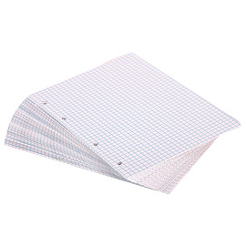 Сменный блок для тетради на кольцах, А5, 120 л., BRAUBERG, "Белый", 403260 фото Сменный блок для тетради на кольцах, А5, 120 л., BRAUBERG, "Белый", 403260