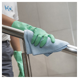 Перчатки латексные HQ Profiline многоразовые зеленые р.L (КФС)