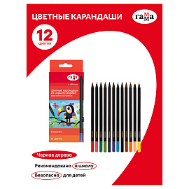 Карандаши цветные Гамма "Мультики", 12цв., черное дерево,заточен., картон. упак., европодвес