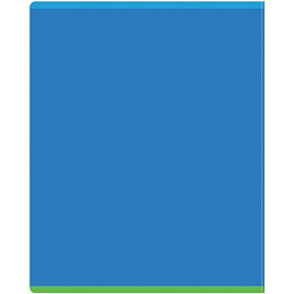 Тетрадь предметная 48л. BG "Научная лента" - Информатика