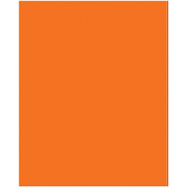 Тетрадь предметная 48л. BG "Перфокарта" - Информатика, пластиковая обложка