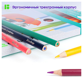 Карандаши цветные Berlingo "SuperSoft. Жил-был кот", 36цв., трехгран., заточен., картон, европодвес