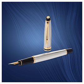 Ручка перьевая Waterman Expert цвет чернил синий цвет корпуса серебристый с позолотой (артикул производителя S0951940)