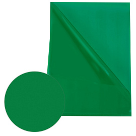 Папка-уголок прозрачная А4 BRAUBERG UNIVERSAL, зеленая, 0,10 мм, 273048