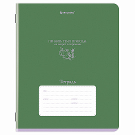 Тетрадь 24 л. BRAUBERG клетка, обложка картон, PHRASES, 107304